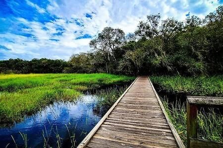 Villa Florida Retreat Nr Lakewood Ranch Sports Campus Bradenton Exterior foto